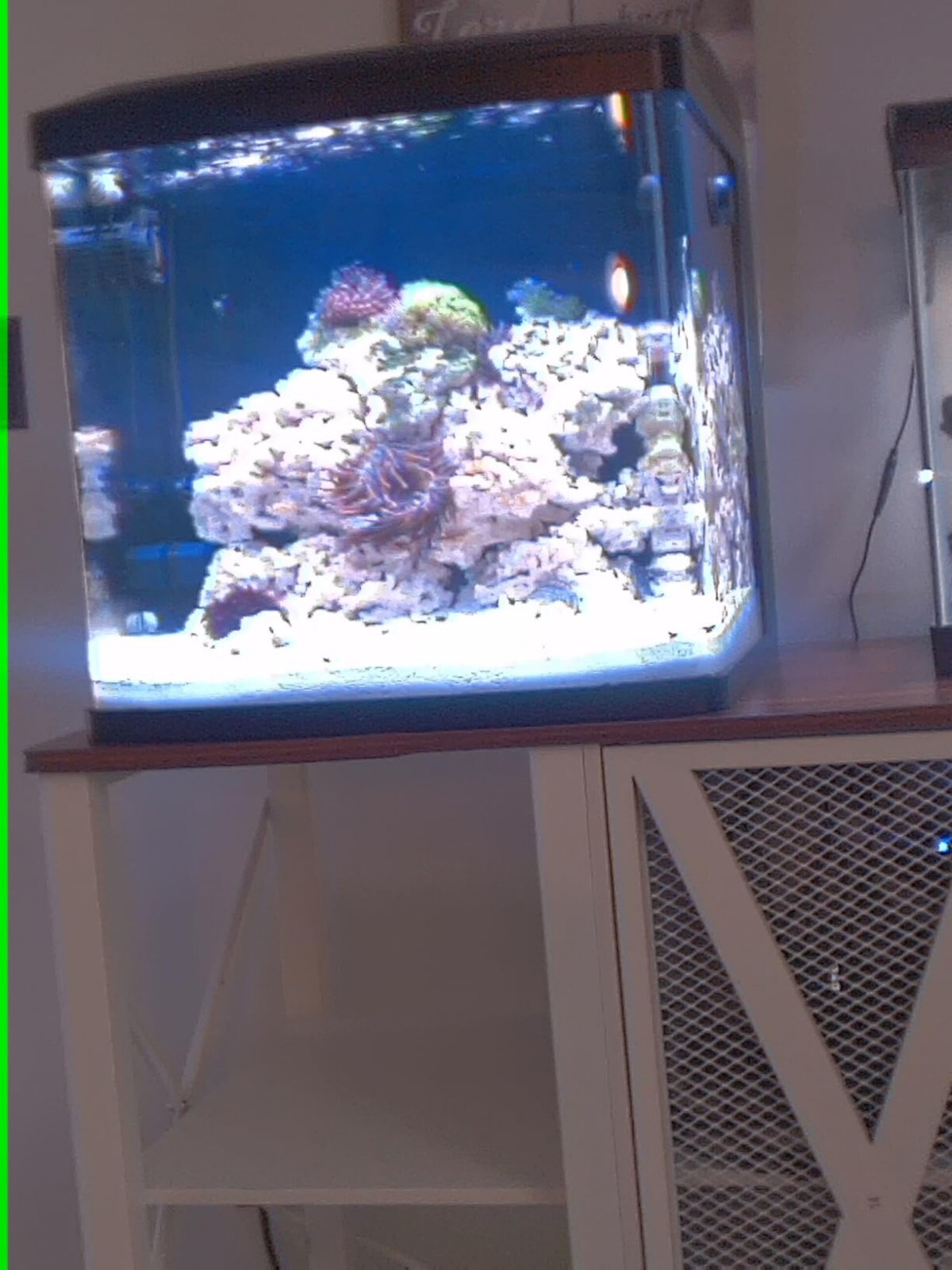 Picture 10 of 24