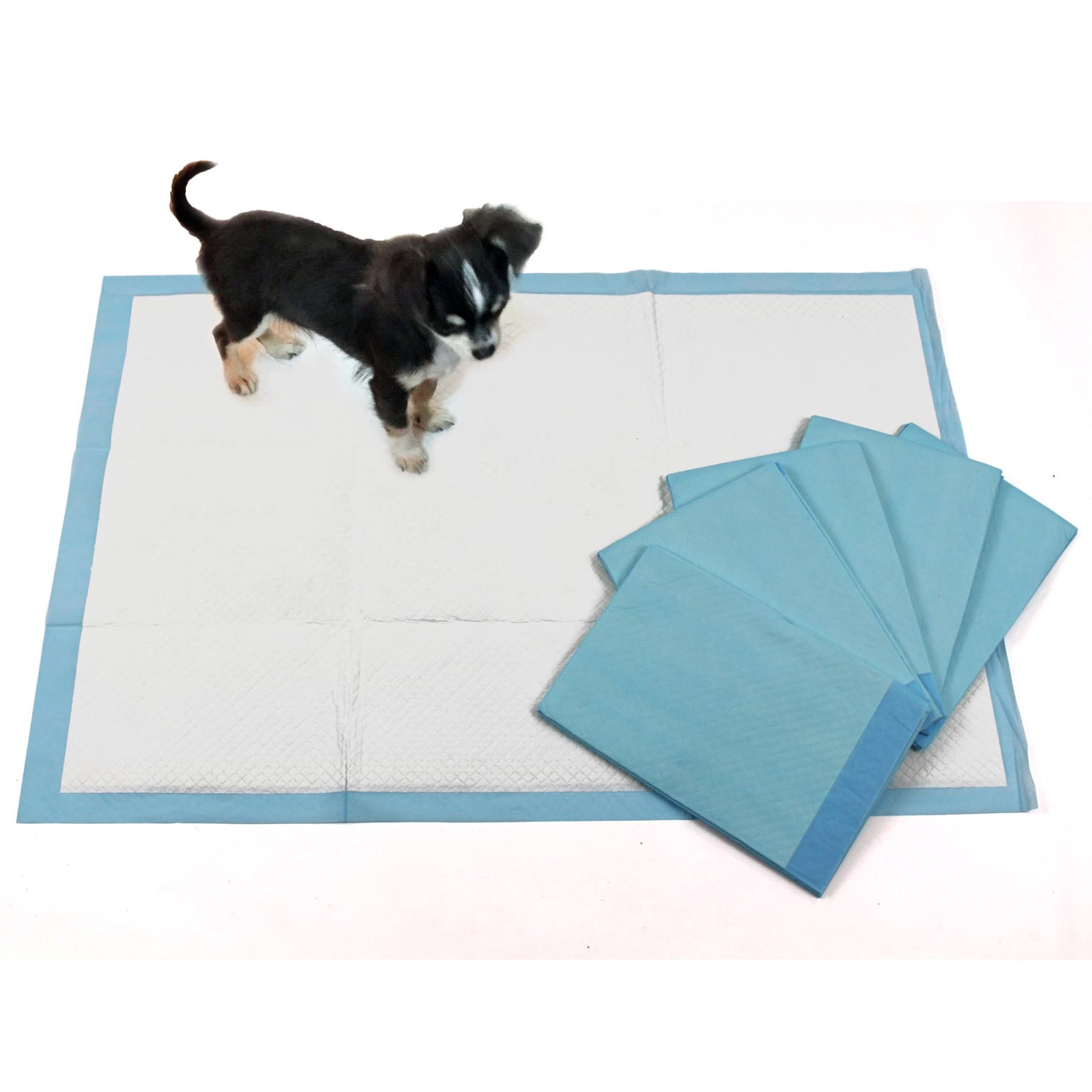 100 Cuscinetti XL per Cuccioli Cani Animali Domestici Toilette Casa Addestramento 60x90cm Wee Vasino Pipì Tappetini Gatto foto 6