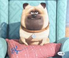 Bobby Moynihan Signed 8x10 Secret Life Of Pets Mel Photo JSA CJ93949
