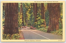 Vintage Avenue of Giants Redwood Highway California Linen Postcard