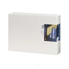 Air Filter-DIESEL, FI, Turbo Purolator A35694