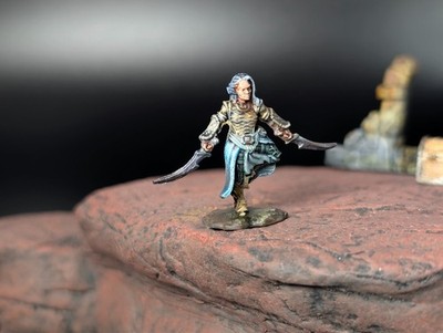 Well painted NLM deadly dual blades ''Varyana'' d&d fantasy miniature