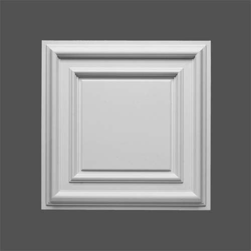 Orac Decor F30 Door & Wall Panel