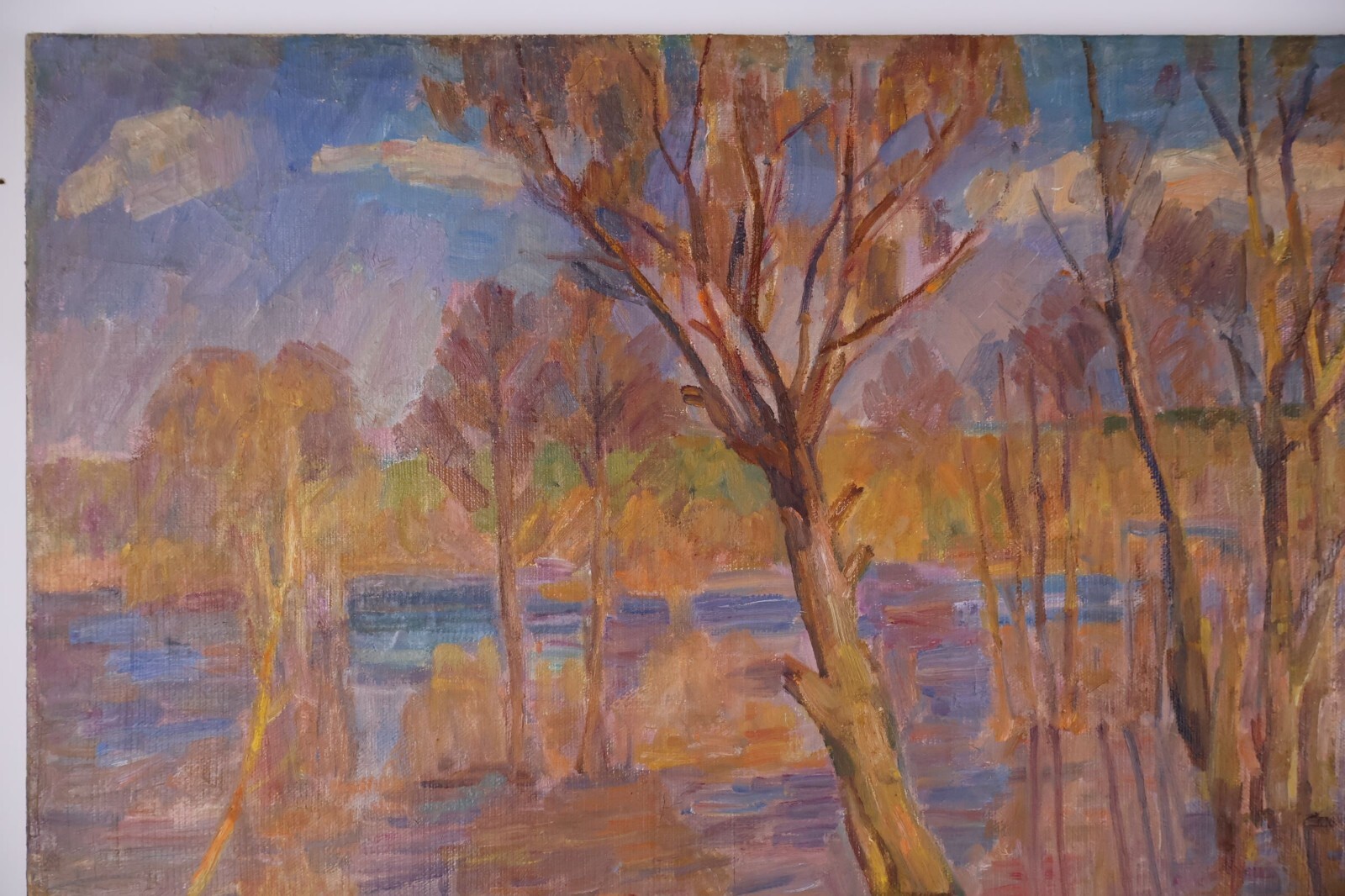 Picture 3 of 14