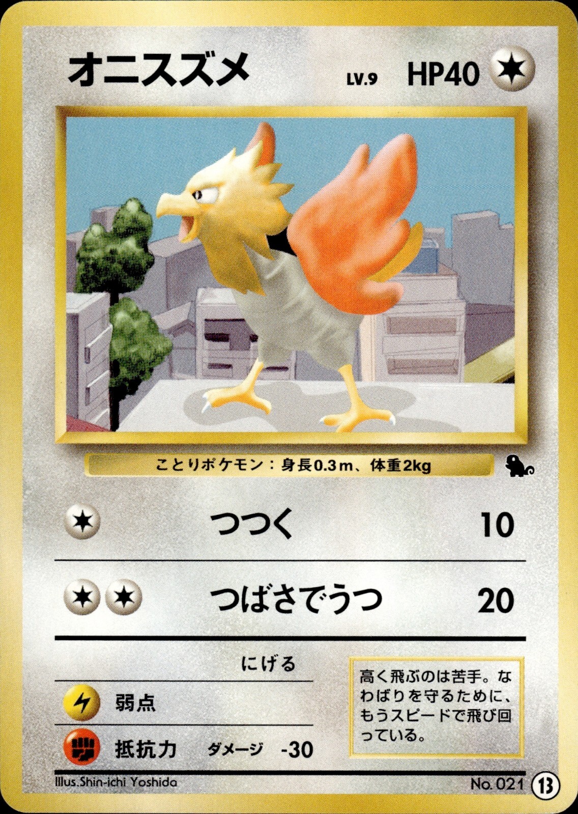 Spearow 13 Squirtle Deck Old Back Vintage Japanese Pokemon Card B44