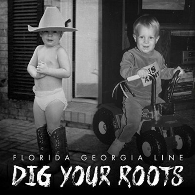 Dig Your Roots by Florida Georgia Line 2016 CD Ebay's Premier Retro Specialist F