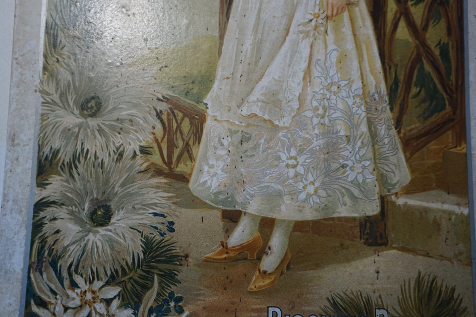 Ancien carton plaque publicitaire Biscuits PERNOT Fleur des Neiges à DIJON Gerin - Photo 3/4