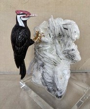 Large Pileated Woodpecker  10"-Peter Muller
