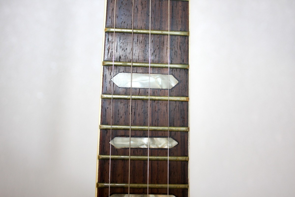 1980's Tokai T600R 5 String Banjo Made In Japan With Hard Shell