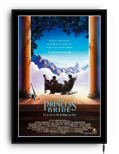 THE PRINCESS BRIDE   movie poster lightbox led sign home cinema man cave  FILM - Picture 1 of 9
