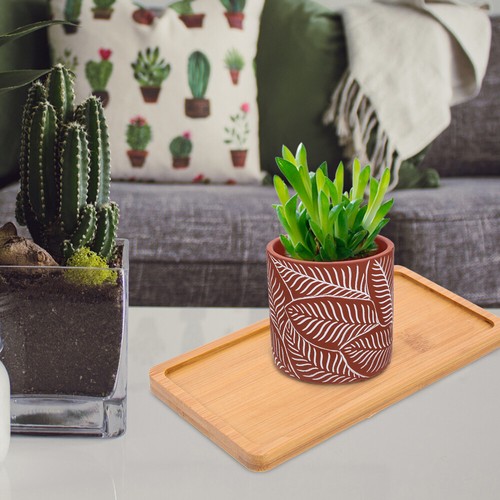 3 Pcs Bamboo Flower Pot Succulent Planter Tray Small Pots for Succulents