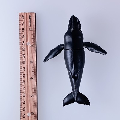 Humpback Whale Arctic Creatures Movable Figure From Japan | eBay