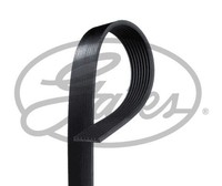 Gates Keilrippenriemen 8PK1295XS FüR Cadillac Mazda