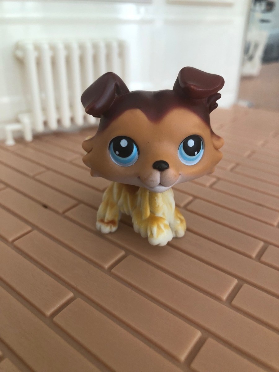 Authentic Littlest Pet Shop LPS Collie - #58 Brown Dog Sage Paw Up
