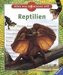 Reptilien von Carson Creagh | Buch | Zustand sehr gut