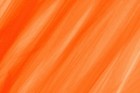 Bild 42 von 42