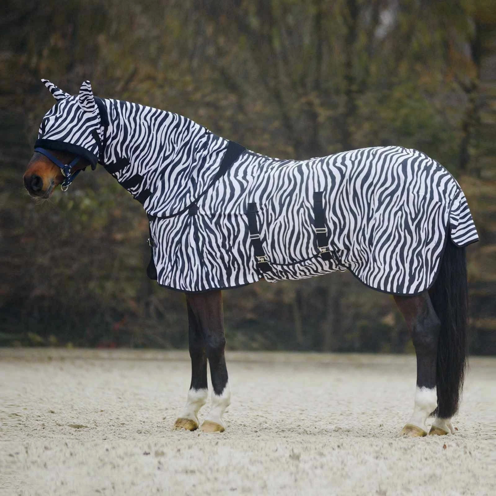 Horse Combo Fly Rug with Mask Pony Full Neck Mesh Protective Sheet Lightweight