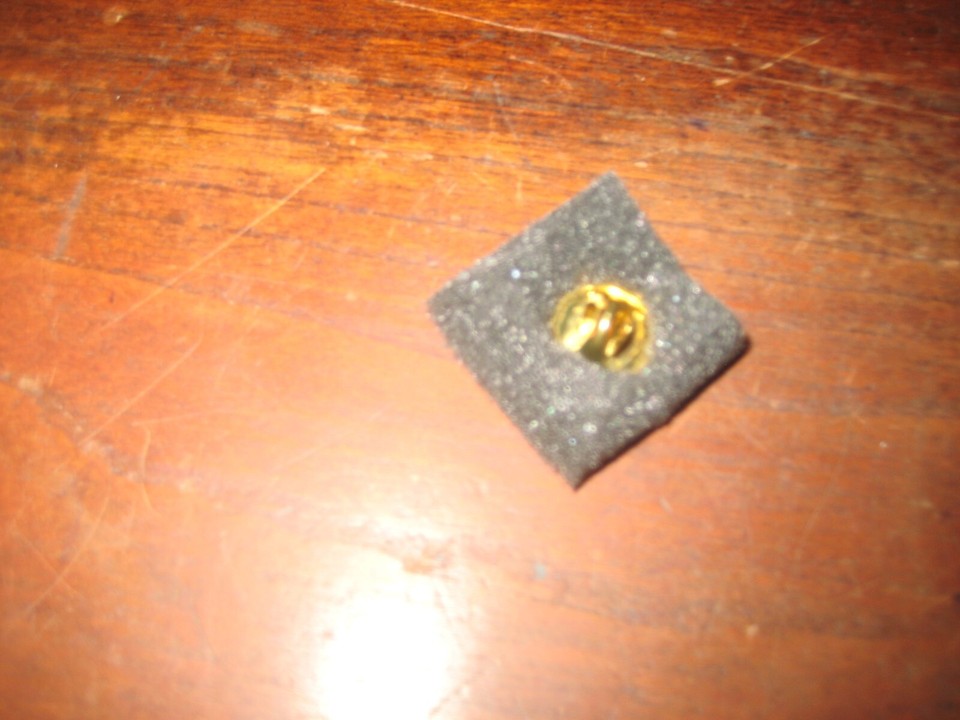 VIETNAM WAR VETERAN ; Military CHALLENGE COIN/PIN; Eagle center; Nickel