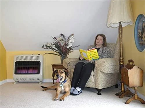 Calentador de montaje en piso de pared de gas natural Mr. Heater Vent Free Blue Flame 30000 BTU Foto 3 de 4