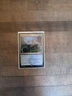 MTG Simic Ascendancy Ravnica Allegiance 207/259 Regular Rare