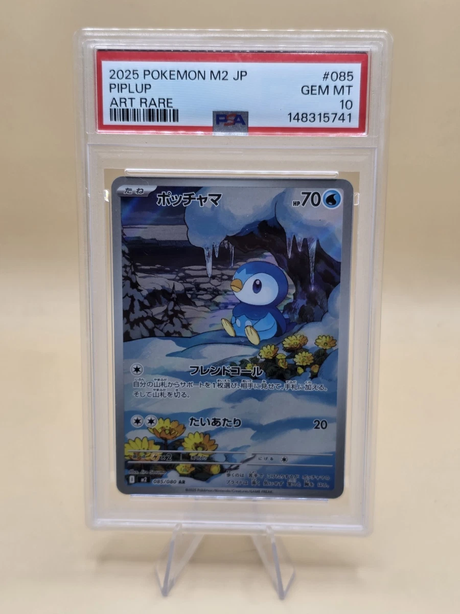 Pokémon TCG Professional Sports Authenticator (PSA) Individual