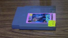 Nintendo NES Kid Niki Radical Ninja Video Game Data East 1987