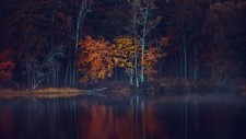 Landscape nature fall water trees Custom Gaming Mat Desk