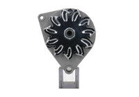 Lichtmaschine Passend FüR Goldoni MG281 33 A