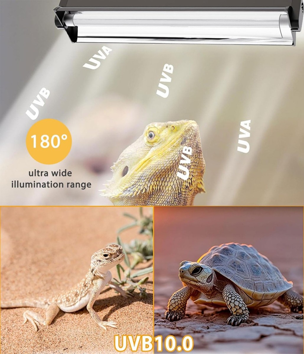 T5 UVB Reptile Light Fixture Combo Kit - 12 Inch 8W Terrarium Hood