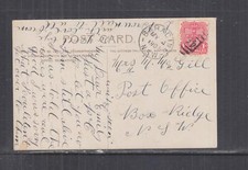 NEW SOUTH WALES, 460, BARADINE to BOX RIDGE,1908 ppc. Orchard.