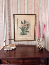 19th Century Wood Framed Orchid Chromolithograph H.G. Moon J. Mansell 27"x21"