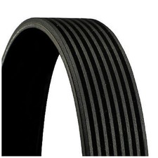 Continental Ctam Keilrippenriemen 7420727693 11287628661 11287589366 | 615746