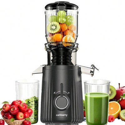 4.25 Inch Slow Cold Press Juicer 250W Quiet Anti-Clog High Yield Fruit Vegetable