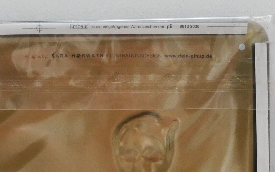 SARA HORWATH Straps Girl Tin Pin-Up Burlesque 3D Metal Wall Sign 7.8 X 11.8 Inch - Image 3 of 3