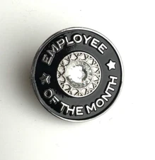 Employee of the Month White/Clear Stone Award Lapel Pin