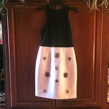 Stunning Adrianna Papell Beaded Dress