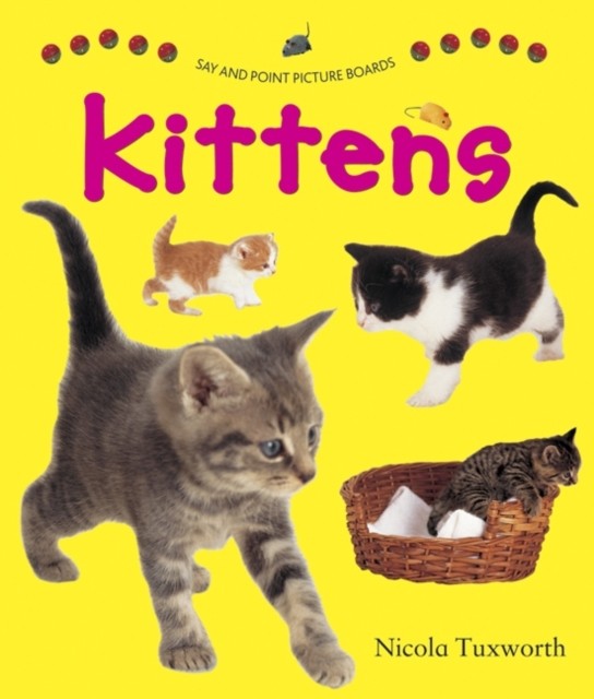 Say and Point Picture Boards: Kittens by Tuxworth Nicola (Board book)