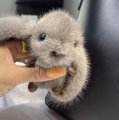 Rabbit Mink Fur Pom Pom Keychain: Fluffy Plush Bag Pendant (Grey, Pink, White)