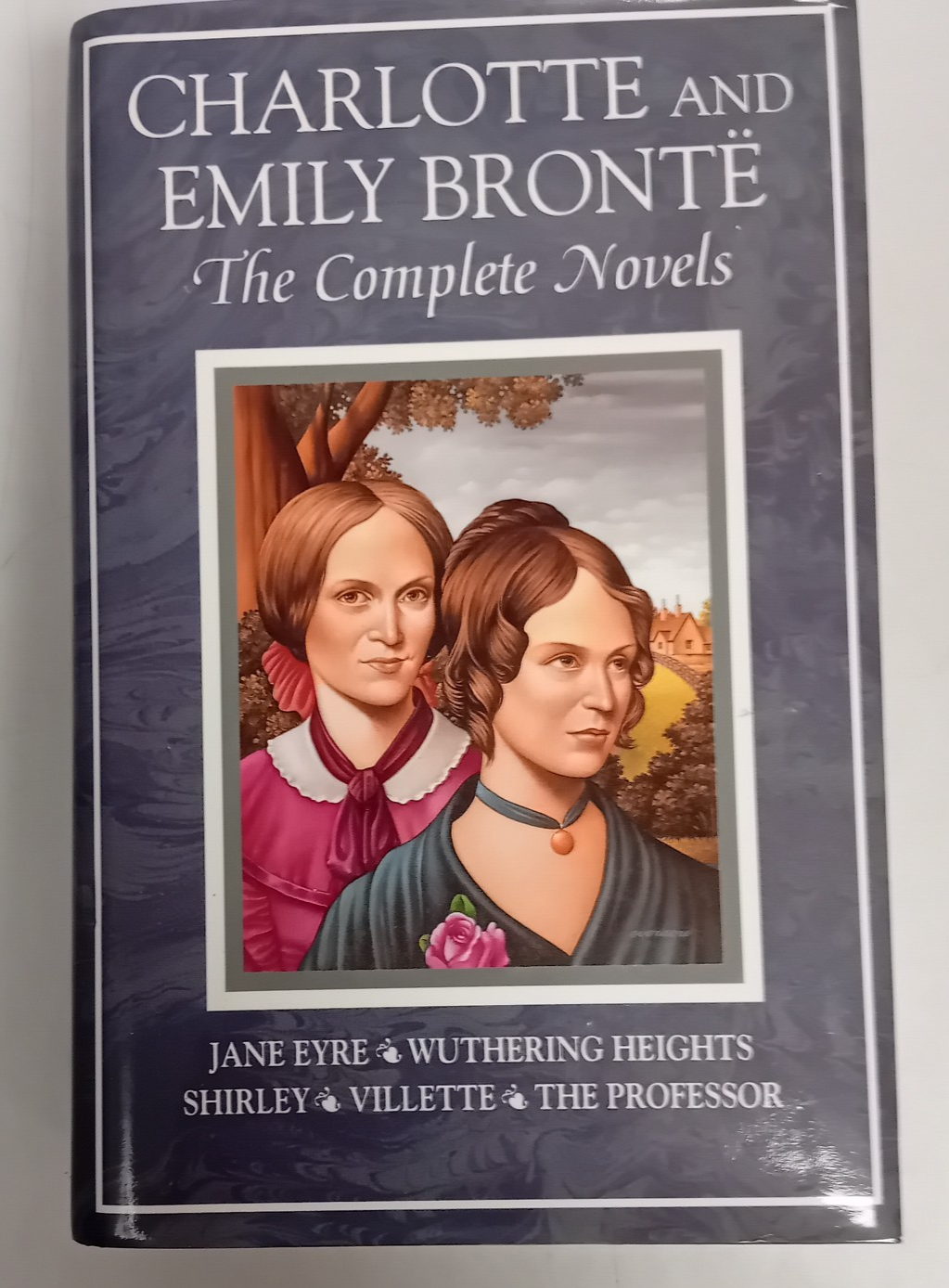 Charlotte & Emily Bronte: The Complete Novels: Hardcover: 1995