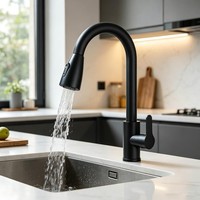 KüChenarmatur 360° Einhandmischer Mit Brause Ausziehbar Wasserhahn KüChe Schwarz