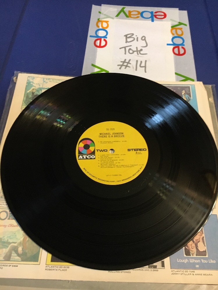 Michael Johnson There Is A Breeze 1973 Lp 33rpm SD7028 | eBay