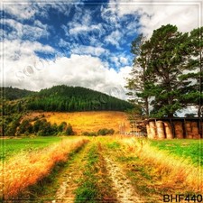 10'x10'Maintain Field Autumn Scenic Microfiber Fabric background backdrop BHF440