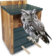 Owl House Screech Bird House For Outdoor Owl Nesting Box With Premium Carbonized