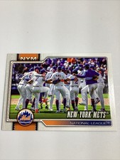 New York Mets-N.L. East Division-Insert-2026 Topps Baseball Series 1 #291