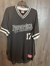 Vintage Perfect Game Iowa Select #17 Baseball Jersey Rawlings Black Adult 46