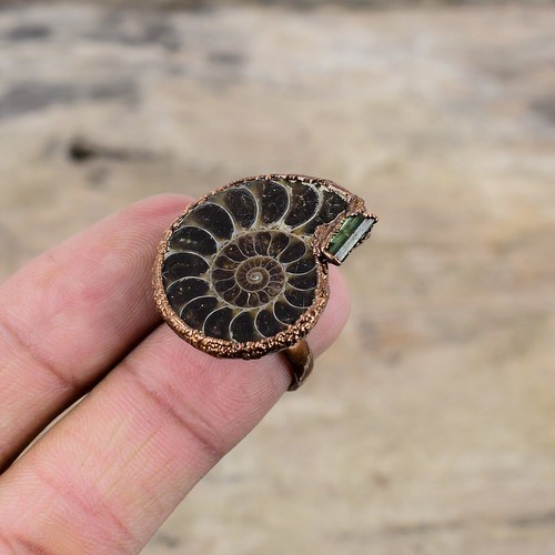 Ammonite Fossil Copper Electroformed Solitaire Adjustable Ring Size Adjustable - Picture 4 of 6