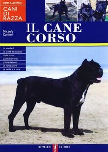 Il cane Corso von Cantini, Micaela | Buch | Zustand sehr gut