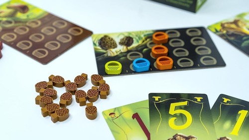 Wonder Woods - Board Game - BRAND NEW - Picture 3 of 6