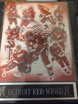 Detroit Red Wings 97/98 Plaque.Slight Discoloration On Corners(See Pics)