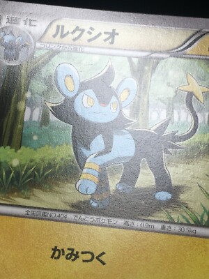 Luxio Pokemon 2017 Double Mega Break Set Promo Japanese 179/XY-P